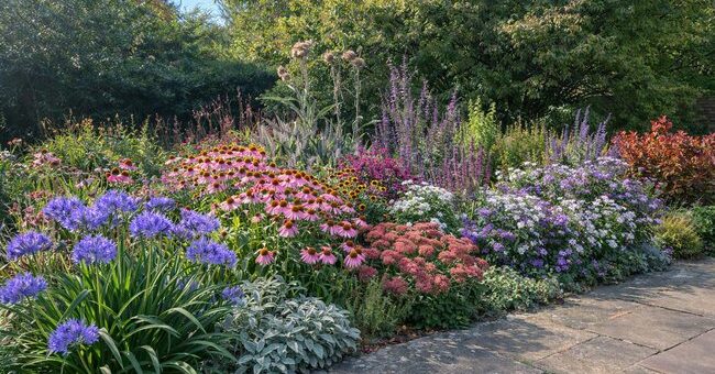 GardenAdvice Monthly To do List