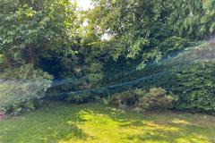 WhatsApp-Image-2026-01-31-at-13.51.26