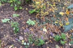 image3-2