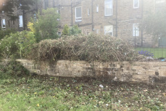 IMG_2388-1