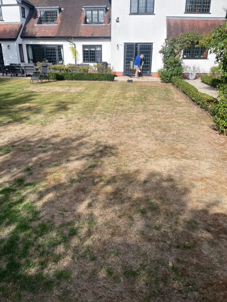 So this is my lawn which is quite a fine lawn it's now October unfortunately it's not really recovered so I'm wondering