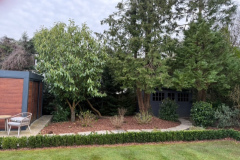 1174C4B9-AC02-4D92-B90E-9A5472491704