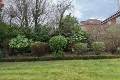 80E65D39-6A99-4BE9-9391-4603F13918C2