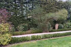 D73860E1-96B5-4839-8060-A0DDEE9AF8E7