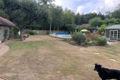 Image-4