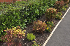 image10