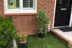 image11