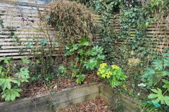 image6