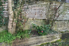 image8