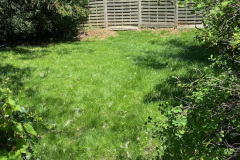 image8