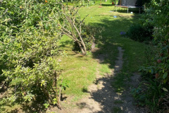 image9