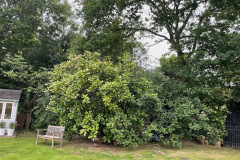 image1-2