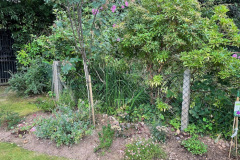 image7-2