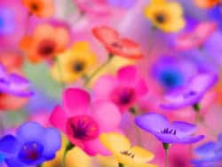 flower1