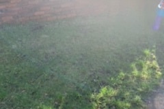 image15