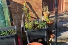 image5