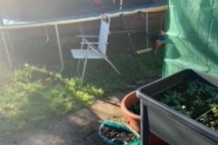 image6