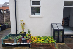 Greenhouse-strawberry-bed-salad-bed