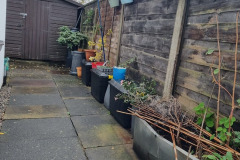 Side-return-container-garden-and-workout-space-in-front-of-shed