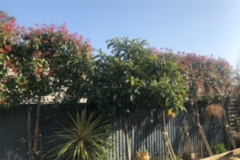 image2-1