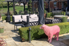 IMG_0697