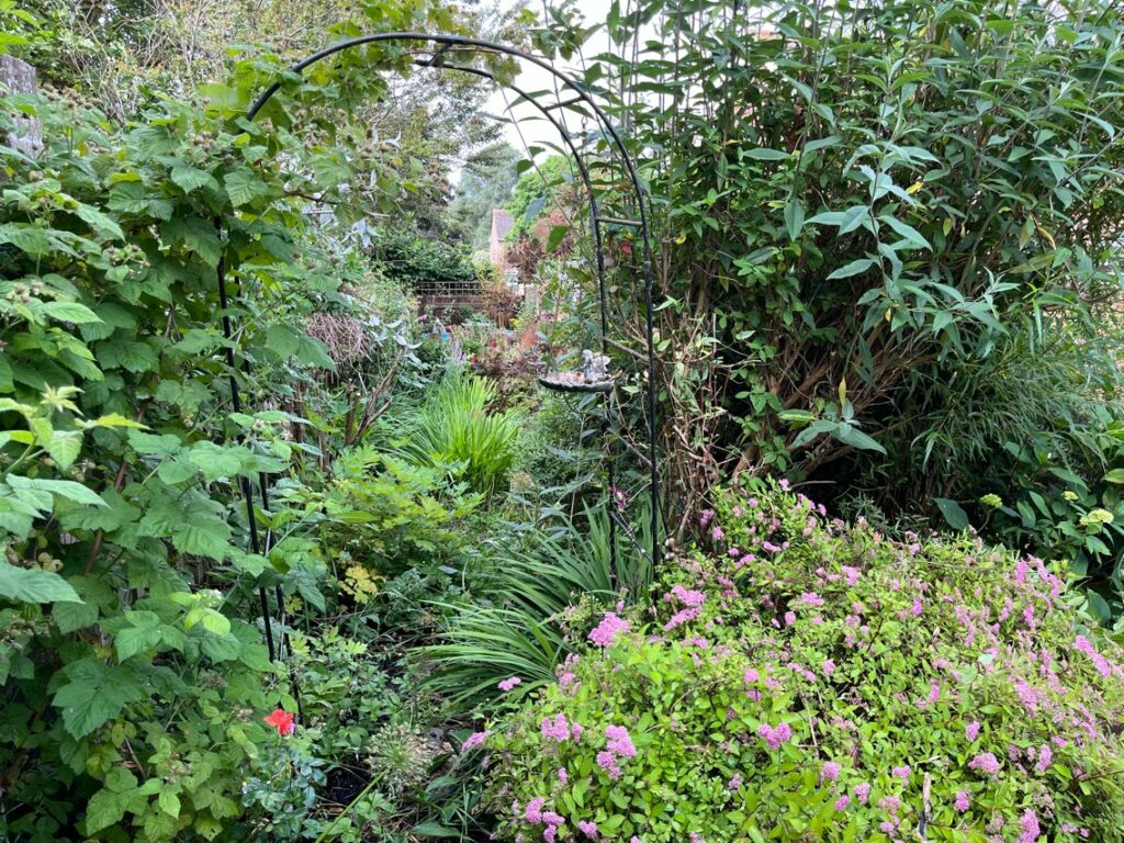 Pruning and Caring for Overgrown Gardens: A Comprehensive Guide by ...