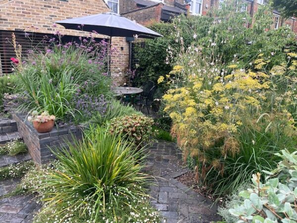 Garden Advisor Visiting Service - Image 4