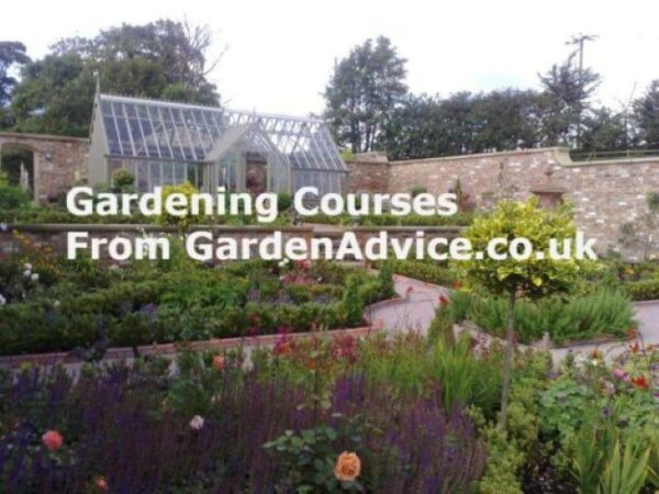 Garden Advisor Visiting Service - Image 2